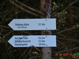 Skywalk Willingen - 2023